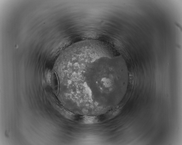 X0000103460143200809191820