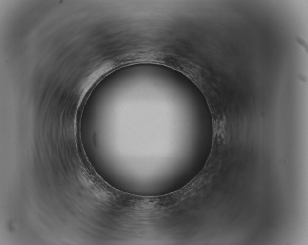 X0000103460148200809191820