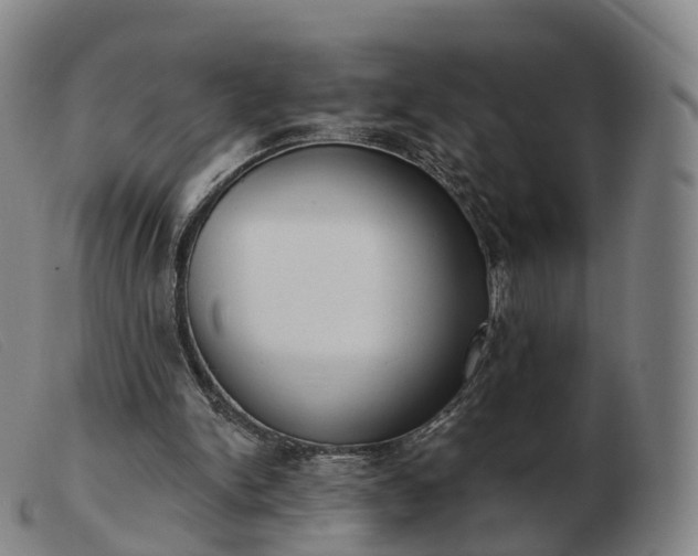 X0000103460150200809191820