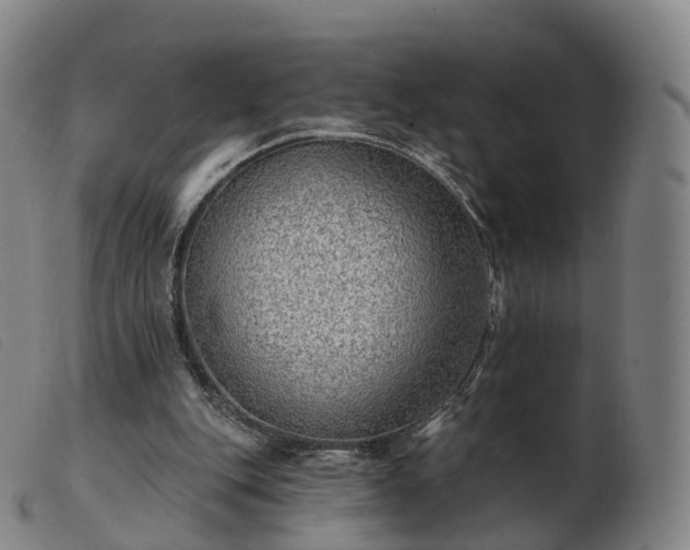 X0000103460151200809191820