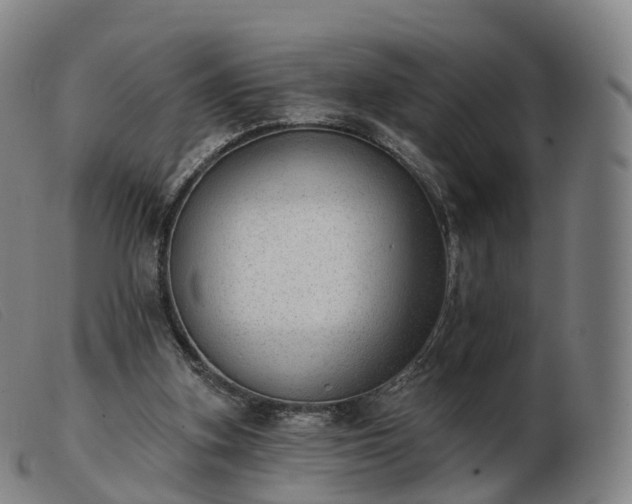 X0000103460155200809191820