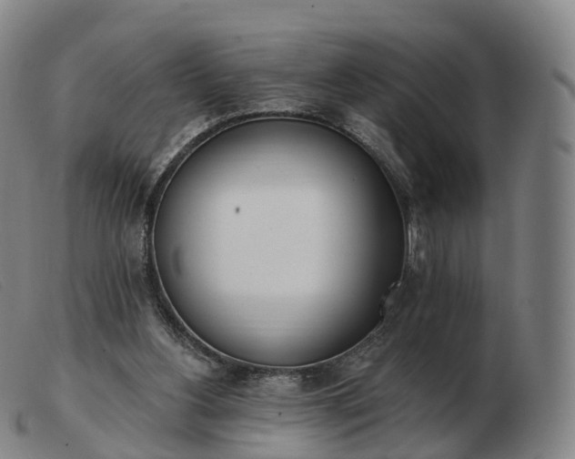 X0000103460156200809191820