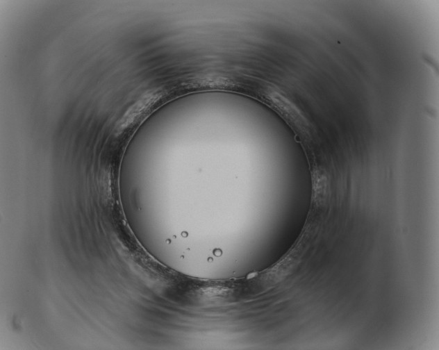 X0000103460158200809191820