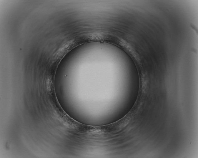 X0000103460161200809191820