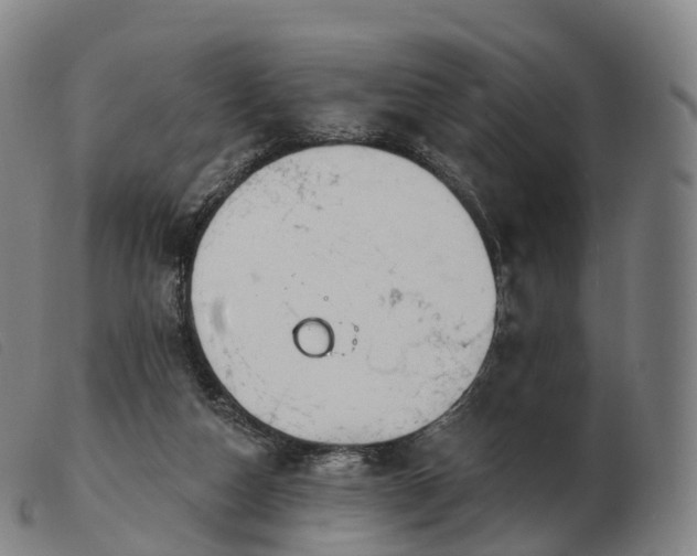 X0000103460162200809191820