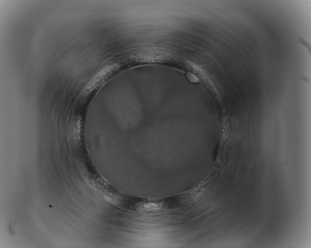 X0000103460163200809191820