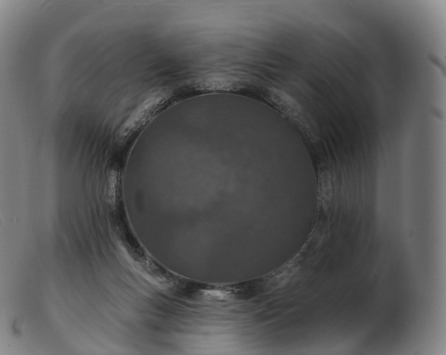 X0000103460167200809191820