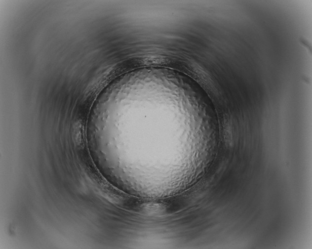 X0000103460169200809191820