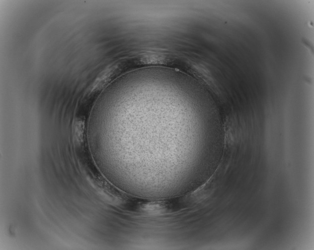 X0000103460171200809191820