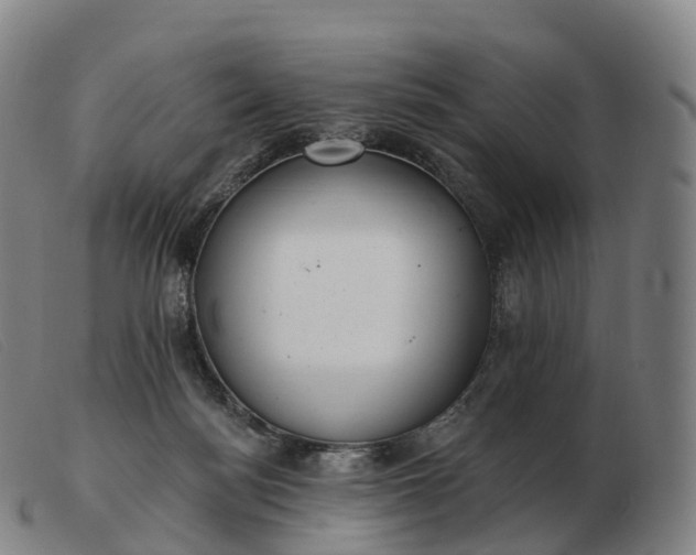 X0000103460172200809191820