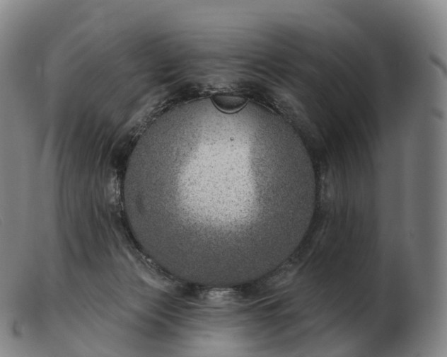 X0000103460173200809191820