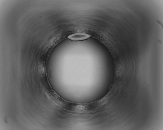 X0000103460176200809191820