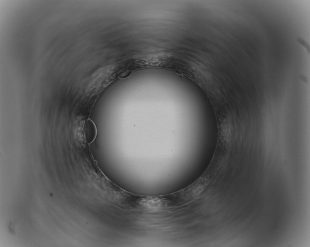 X0000103460181200809191820