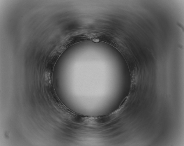 X0000103460182200809191820