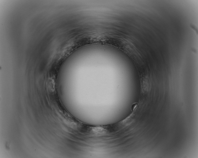 X0000103460183200809191820