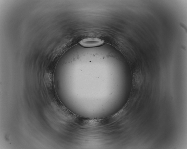 X0000103460184200809191820