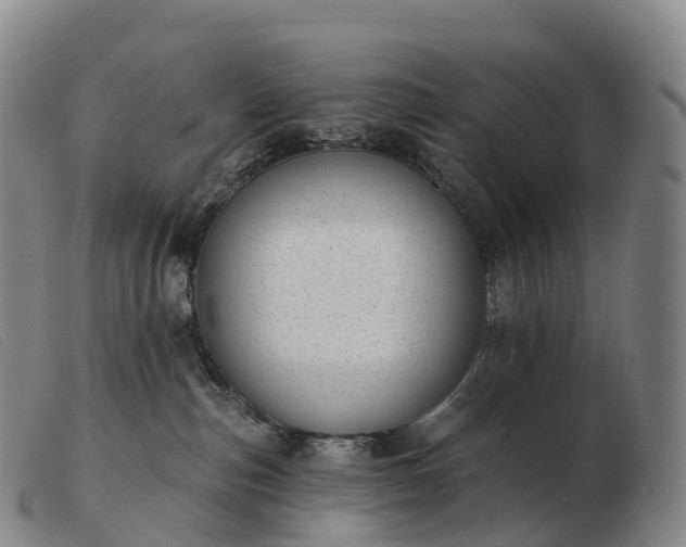 X0000103460187200809191820