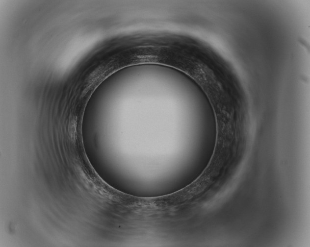 X0000103460194200809191820