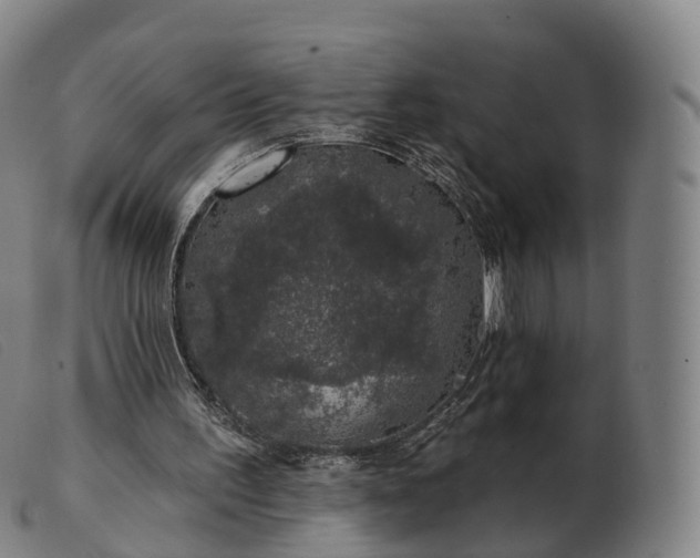 X0000103460195200809191820