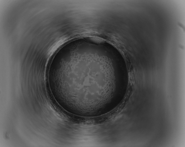 X0000103460196200809191819