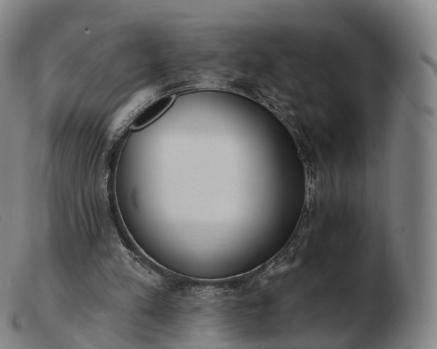 X0000103460197200809191819
