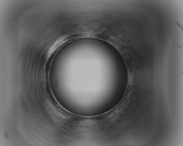 X0000103460198200809191819