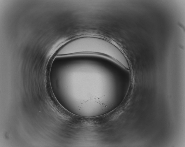 X0000103460199200809191819
