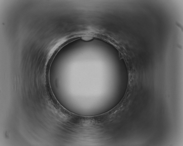 X0000103460200200809191819