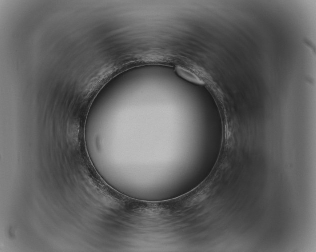 X0000103460201200809191819