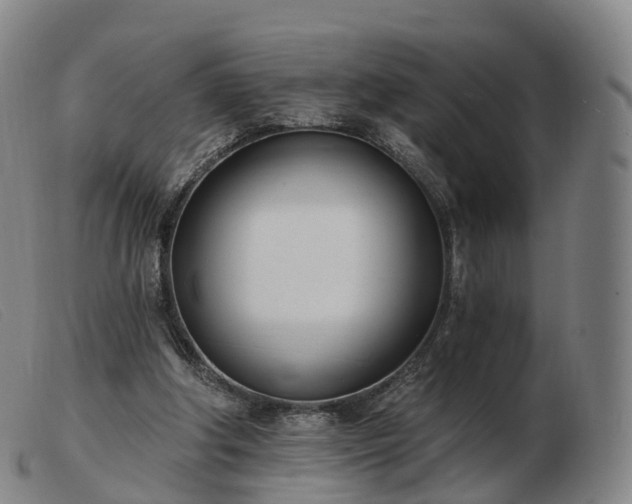 X0000103460202200809191819