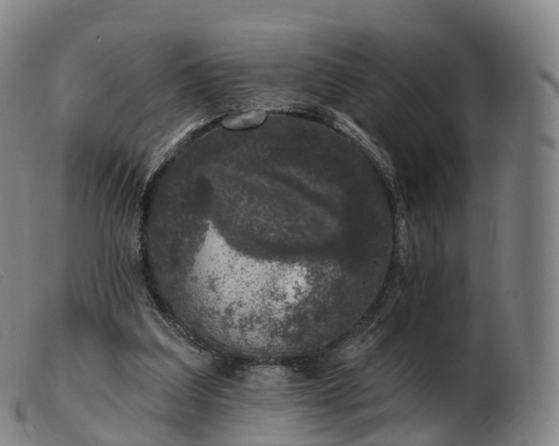 X0000103460203200809191819