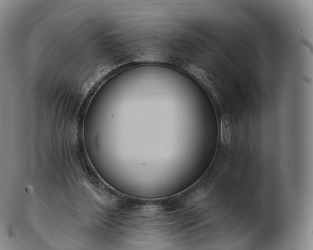 X0000103460204200809191819