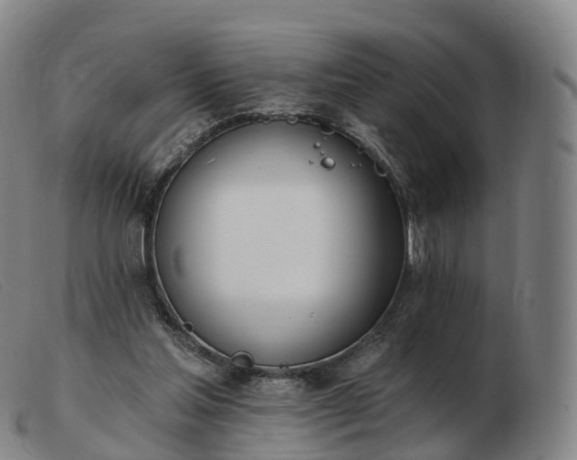 X0000103460205200809191819