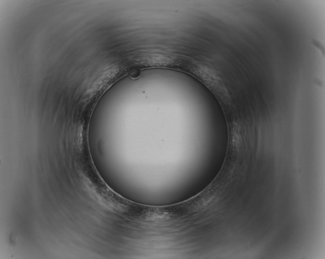 X0000103460206200809191819