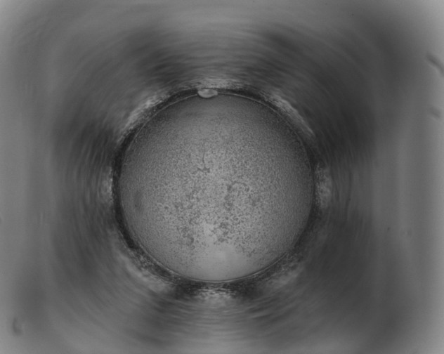 X0000103460207200809191819