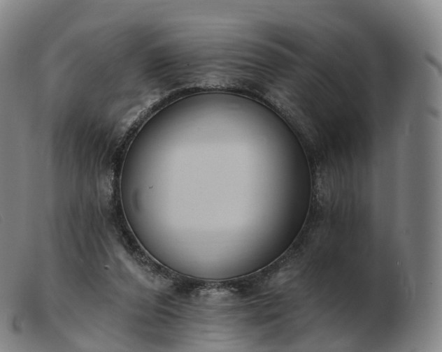 X0000103460208200809191819
