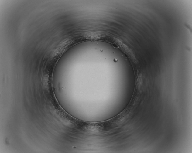 X0000103460209200809191819