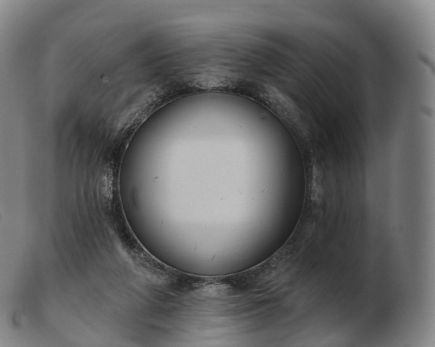 X0000103460210200809191819