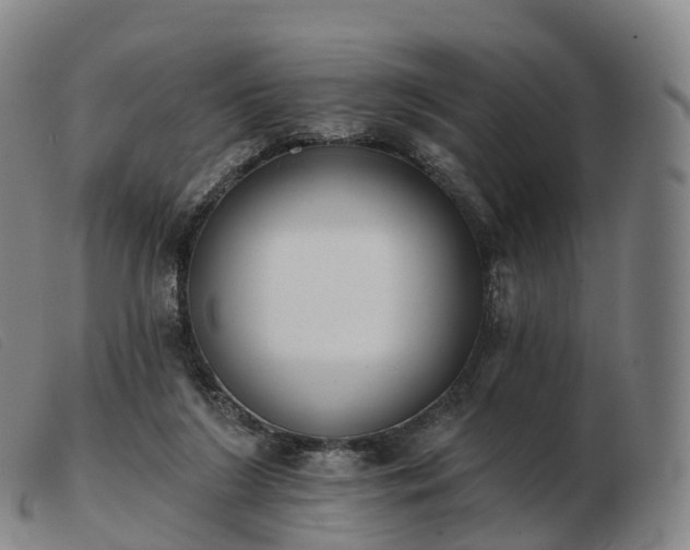 X0000103460212200809191819