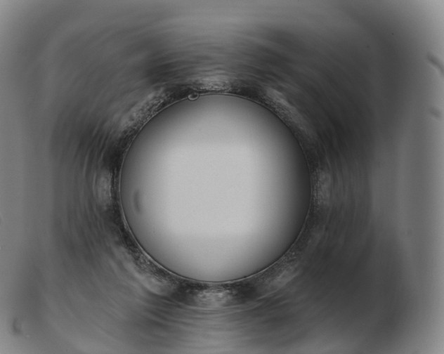 X0000103460213200809191819