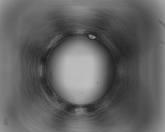 X0000103460216200809191819
