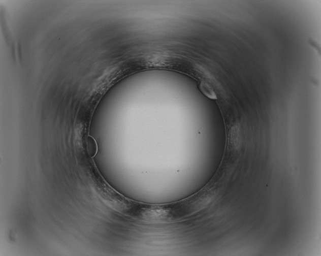 X0000103460217200809191819
