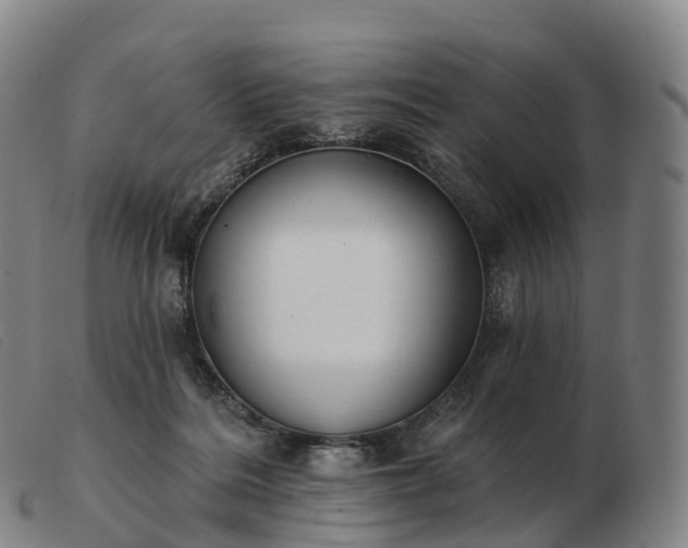 X0000103460220200809191819