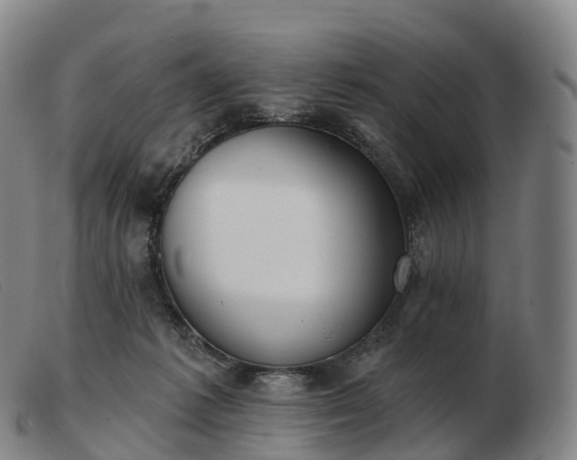 X0000103460221200809191819