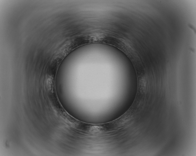 X0000103460222200809191819