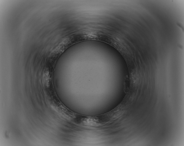 X0000103460223200809191819