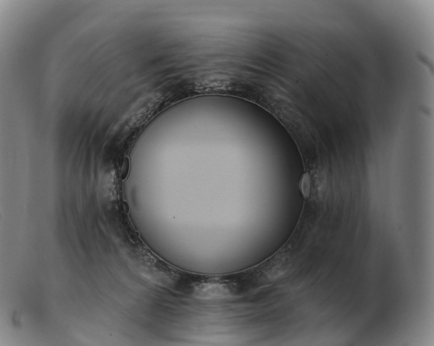 X0000103460224200809191819