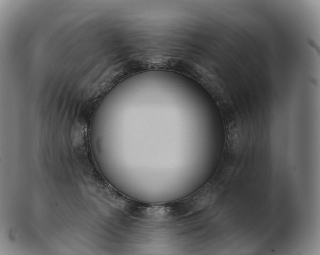 X0000103460225200809191819