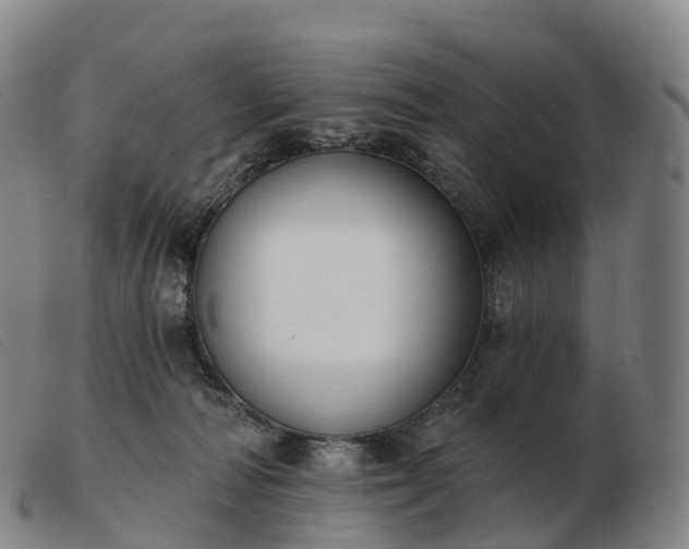 X0000103460226200809191819