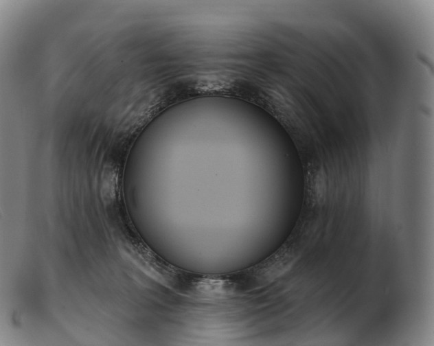 X0000103460227200809191819
